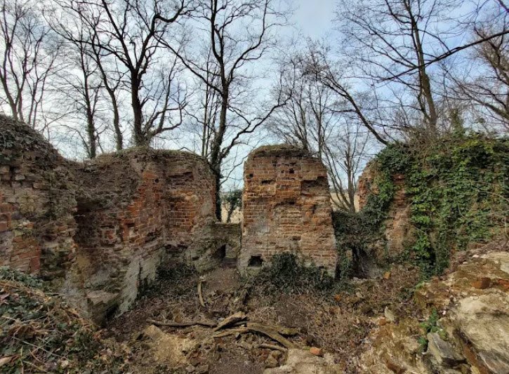Ruiny Zamku Książęcego w Jelczu-Laskowicach, Jelcz-Laskowice, Poland, Poland